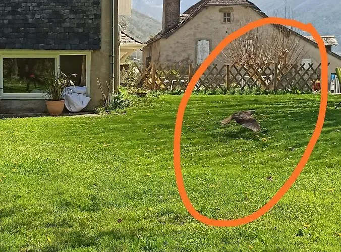 Bed & Breakfast La Maison De Jeanne Osse-en-Aspe