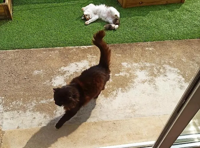 Bed & Breakfast La Maison De Jeanne